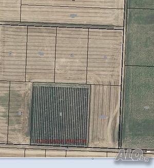 Продажба Земеделска земя община Родопи - с. Цалапица 9m²
