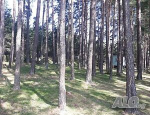 Балканско имение БОРОВА ГОРА