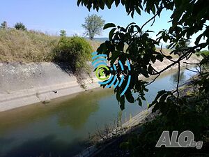 image_8