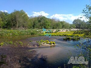 image_13