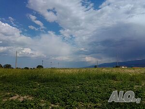 image_2