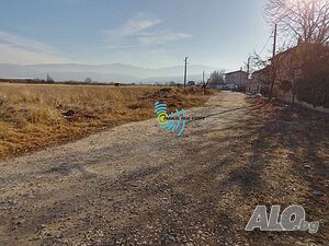 image_6