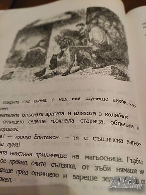 image_6