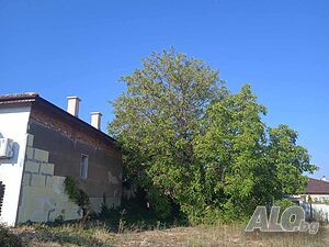 image_2
