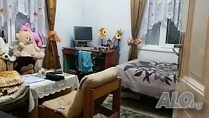 стая център