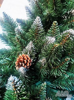image_8