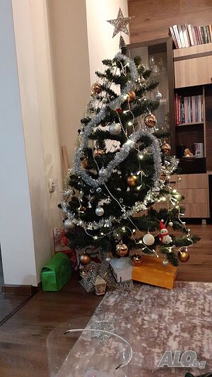 image_10