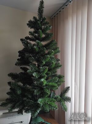 image_12
