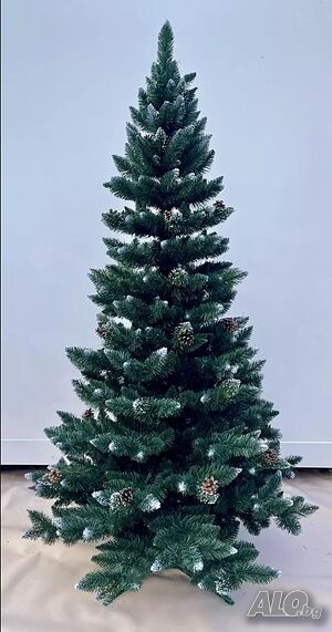 image_6