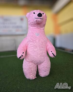 image_7