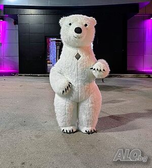 image_9