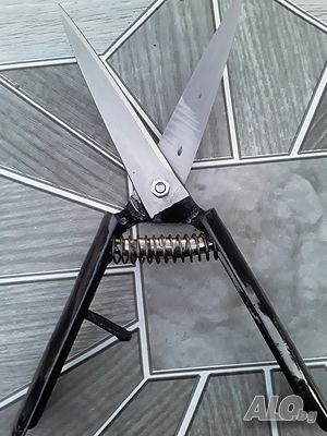 image_4