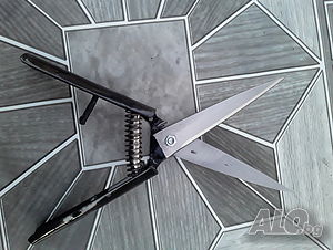 image_5