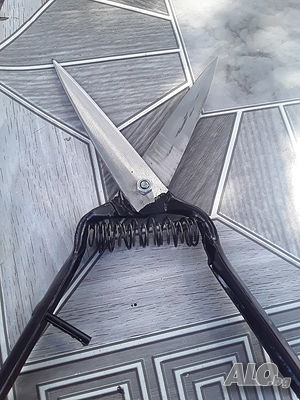 image_6