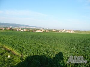 image_7