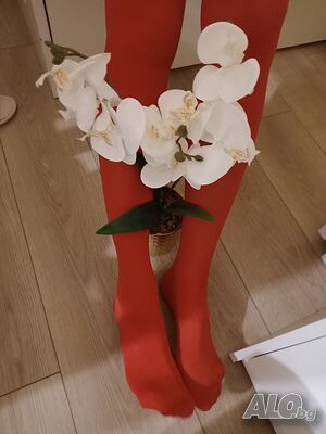 image_2