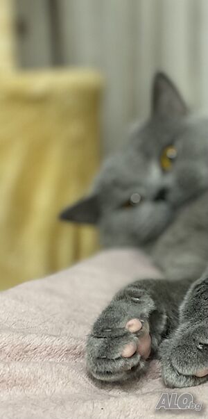 image_7