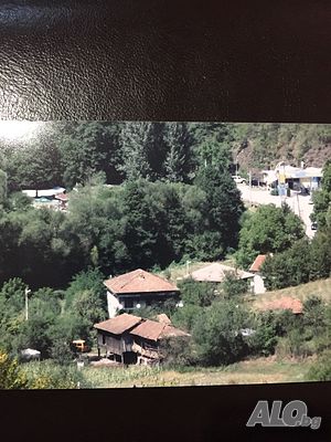 Иглолистна гора-Рибарица