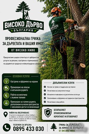 Събаряне, кастрене и рязане на опасни и компрометиращи дървета