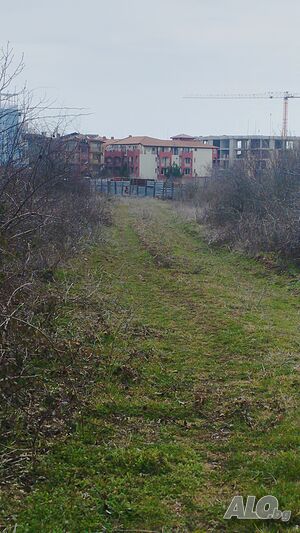 image_6