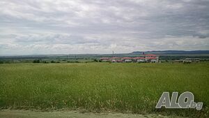 image_7