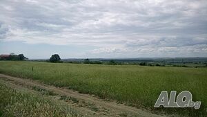 image_13