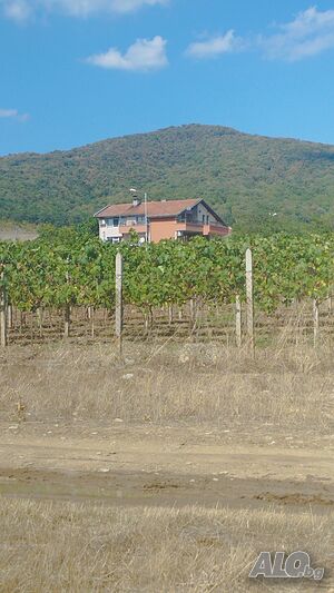 image_5