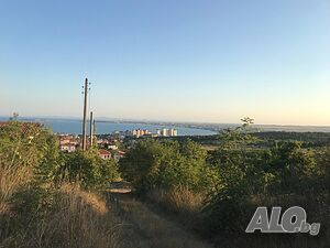 image_3