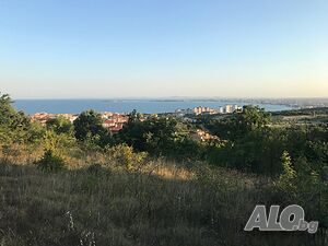 image_6