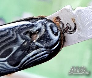 image_4
