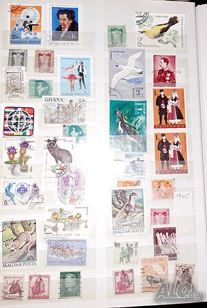 image_6