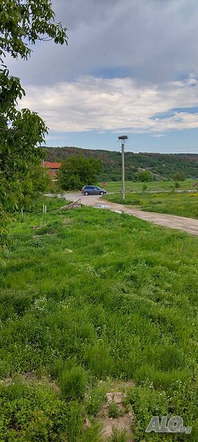 image_10