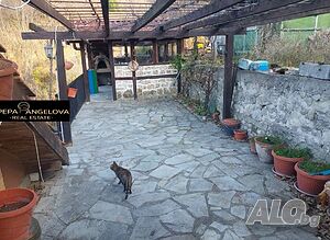 image_8