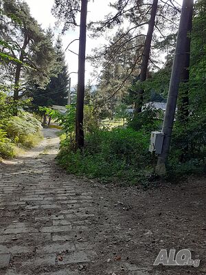 image_2