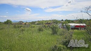 image_9