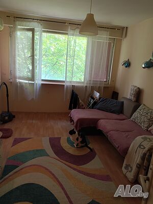 image_11
