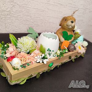image_5