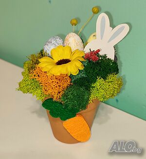 image_10