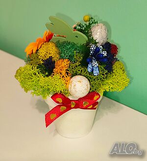 image_11