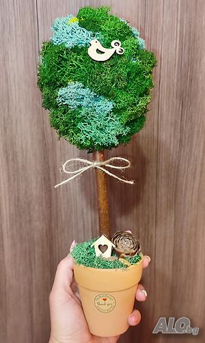 image_4