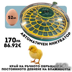 Инкубатор за 52 яйца. Електрически инкубатор регулируем термостат