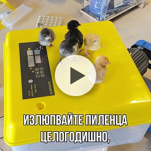 image_15