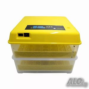 image_3