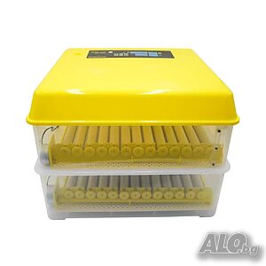 image_4