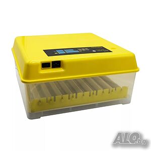 image_4