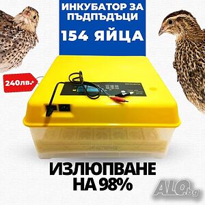 Инкубатор за пъдпъдъци яйца за 154 бр