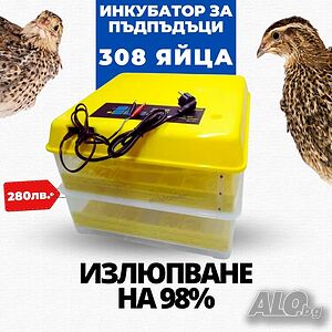 Инкубатор за пъдпъдъчи яйца за 308 бр