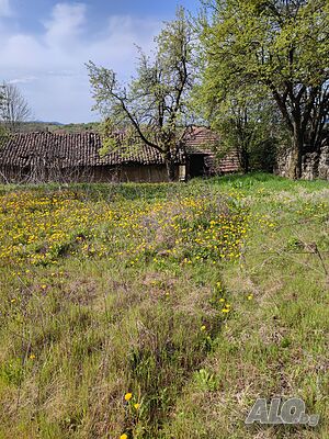 image_10