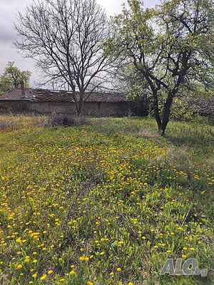 image_9