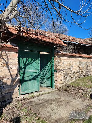 image_2